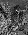 On High Alert, Susan Morris